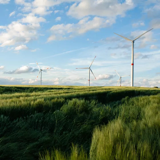 Onshore Windräder